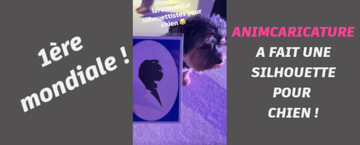 Silhouette pour chien 8 décembre 2024
